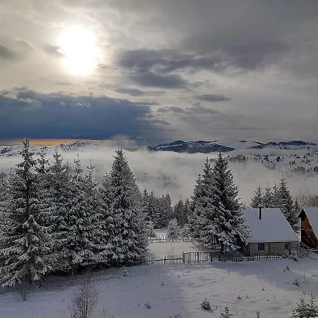 A - A-frame La Munte Holiday home Baisoara