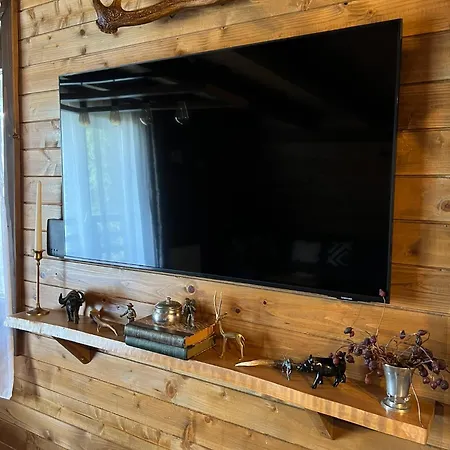 A - A-frame La Munte Holiday home Baisoara