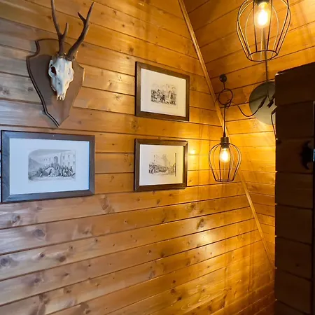 A - A-frame La Munte * Baisoara
