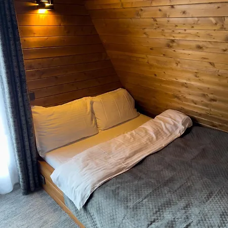 A - A-frame La Munte Holiday home Baisoara