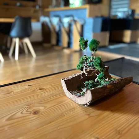 A - A-frame La Munte Baisoara