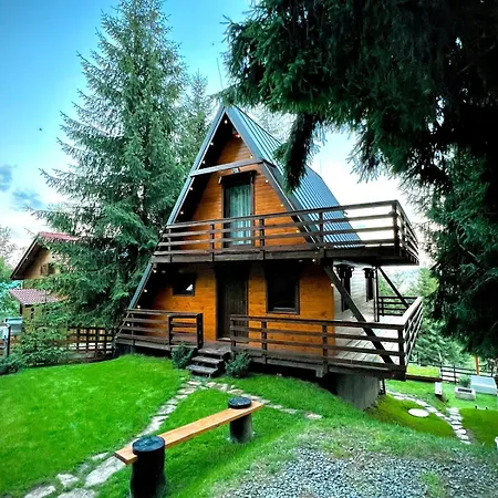 A - A-frame La Munte Holiday home